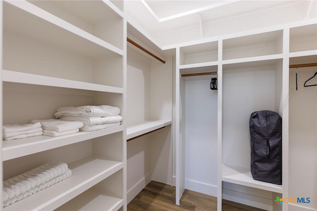 walk in closet with dark hardwood / wood-style flooring