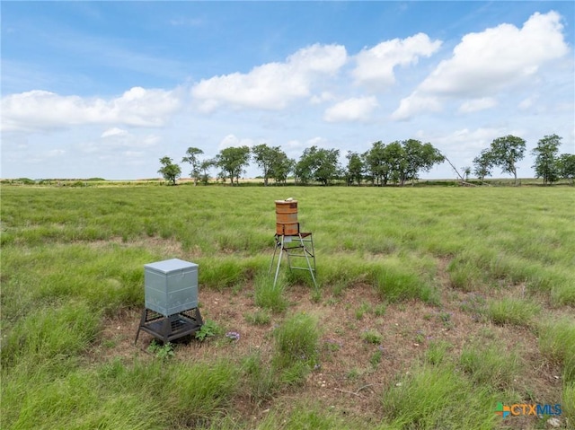 2483 County Road 303, Oglesby, TX 76561 - photo 38
