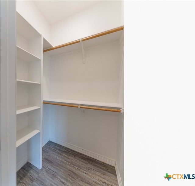 walk in closet featuring hardwood / wood-style floors