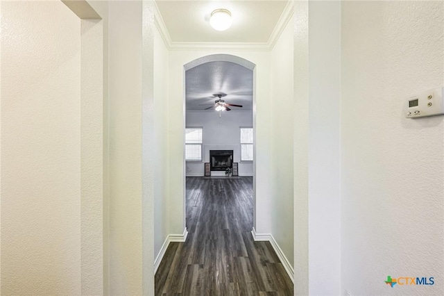 hall with crown molding and dark wood-type flooring