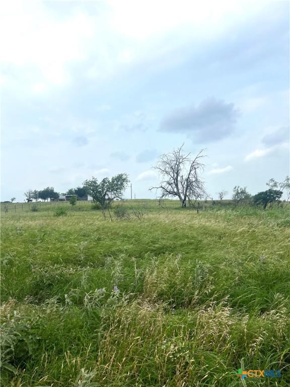 272 County Road 451, Coupland, TX 78615 - photo 1