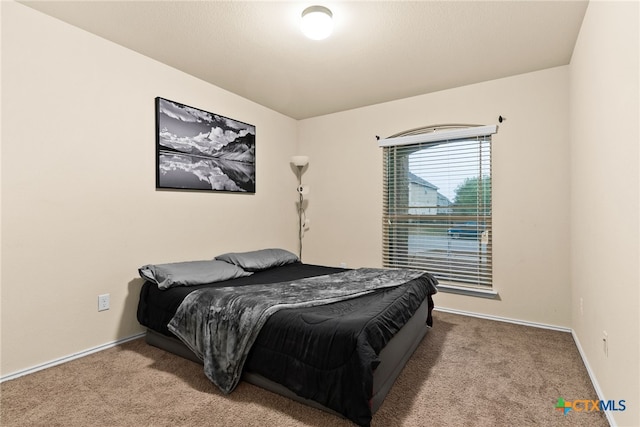 bedroom with carpet floors