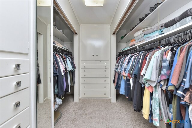 spacious closet with light colored carpet