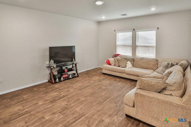 living room with wood-type flooring