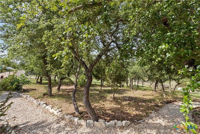 174 Holm Ranch Rd, Fischer, TX 78623 - photo 45