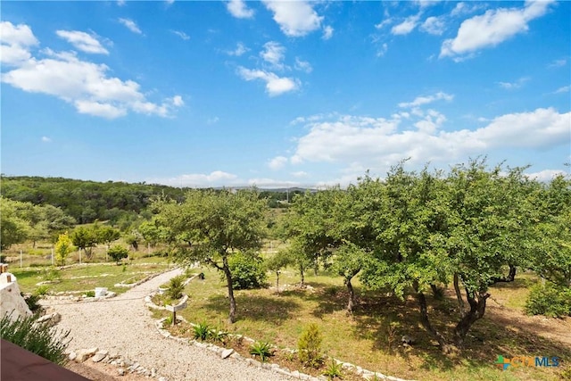 174 Holm Ranch Rd, Fischer, TX 78623 - photo 35