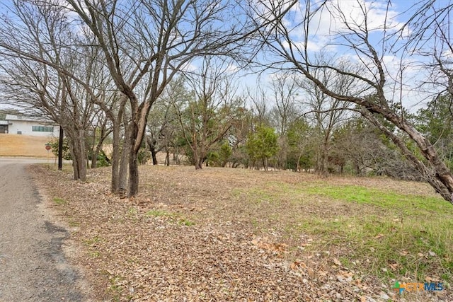 800 Hillcrest Dr, Salado, TX 76571 - photo 8