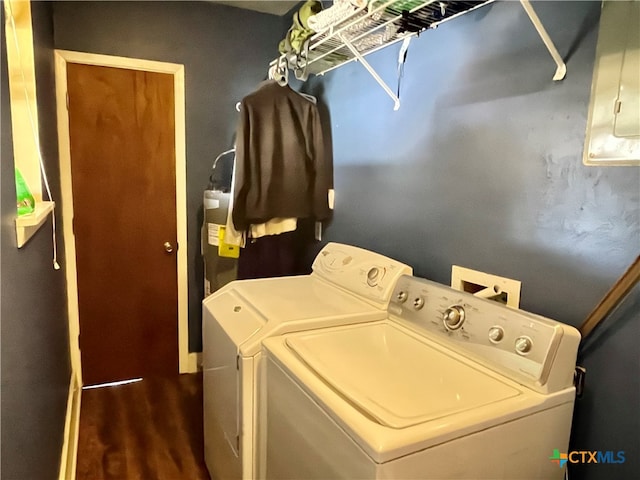 laundry room featuring electric panel, dark wood-type flooring, and washing machine and clothes dryer