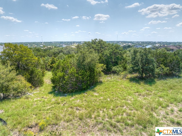 1020 Riesling, New Braunfels TX, 78132 land for sale