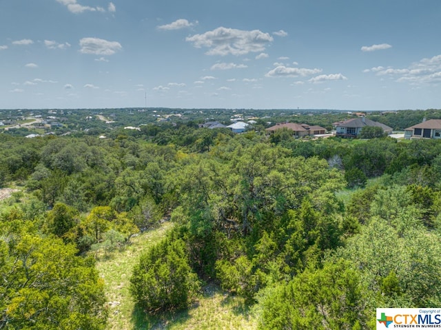 Listing photo 3 for 1020 Riesling, New Braunfels TX 78132