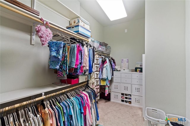 spacious closet with light colored carpet