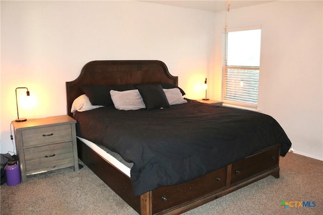 view of carpeted bedroom