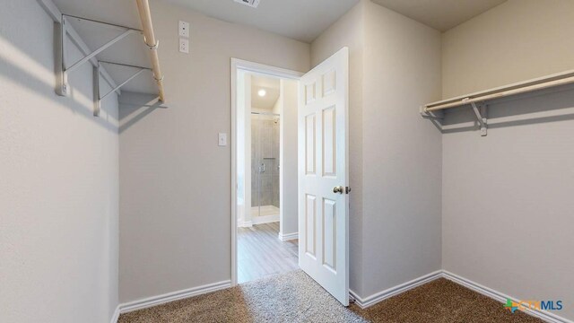 spacious closet featuring carpet floors