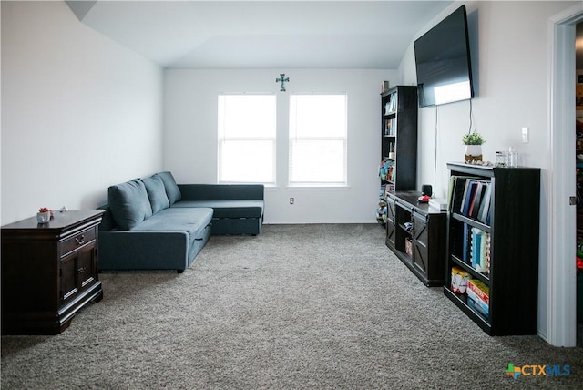 8915 Stonehollow Dr, Temple, TX 76502 - view of carpeted living room