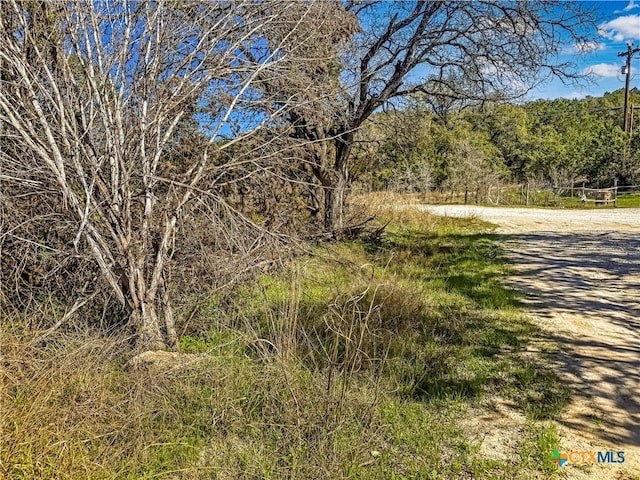 Listing photo 2 for 1036 Deer Valley Pass, Spring Branch TX 78070