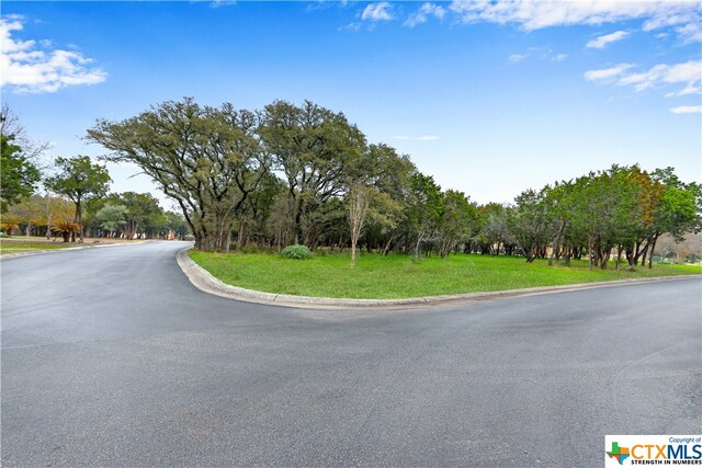 Listing photo 2 for LOT16 Fels Mauer, New Braunfels TX 78132