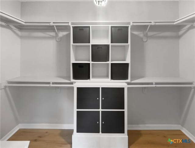 spacious closet featuring hardwood / wood-style flooring