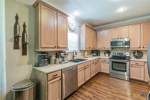312 Ow Lowrey Dr, Salado, TX 76571 - kitchen with appliances with stainless steel finishes, a sink, light brown cabinets, crown molding, and backsplash