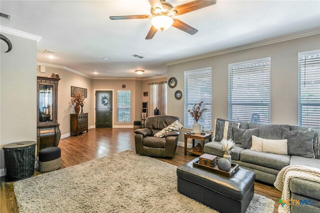 312 Ow Lowrey Dr, Salado, TX 76571 - living room with wood finished floors, a ceiling fan, crown molding, and baseboards