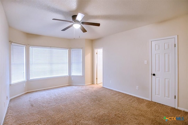 512 Gazelle Trl, Harker Heights, TX 76548 - empty room with a ceiling fan, carpet, healthy amount of natural light, and a textured ceiling