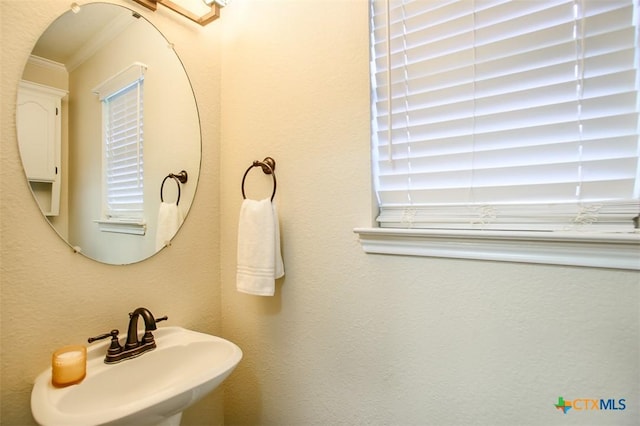 512 Gazelle Trl, Harker Heights, TX 76548 - bathroom featuring crown molding and a sink