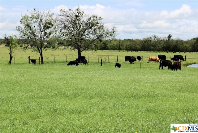 view of yard with a rural view