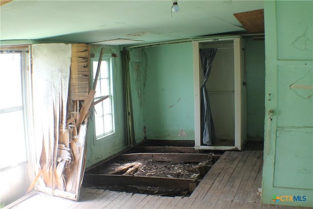 interior space featuring a healthy amount of sunlight and wood-type flooring