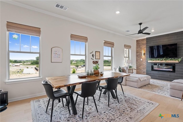 dining space with crown molding, light wood-style floors, a ceiling fan, baseboards, and visible vents