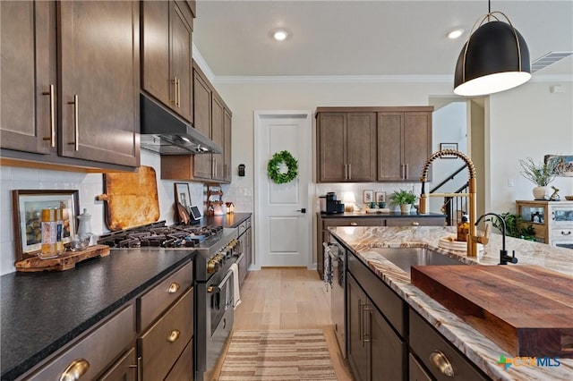 kitchen featuring under cabinet range hood, crown molding, appliances with stainless steel finishes, and a sink