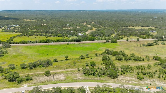 670 Windmill Ridge Dr, Blanco, TX 78606 - photo 3