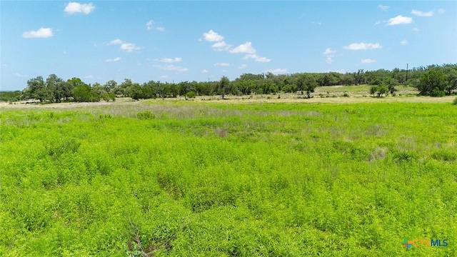 670 Windmill Ridge Dr, Blanco, TX 78606 - photo 9