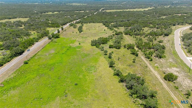 670 Windmill Ridge Dr, Blanco, TX 78606 - photo 4