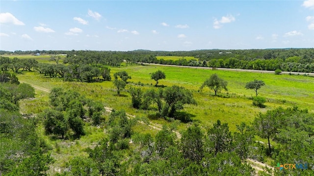 670 Windmill Ridge Dr, Blanco, TX 78606 - photo 7