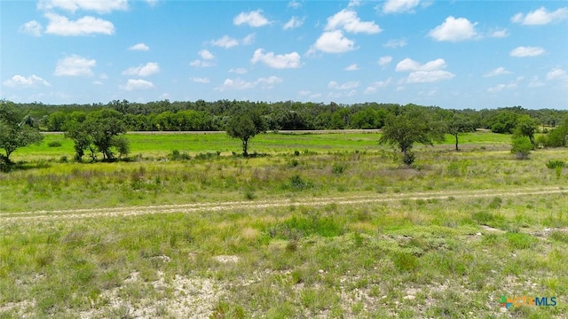 670 Windmill Ridge Dr, Blanco, TX 78606 - photo 10