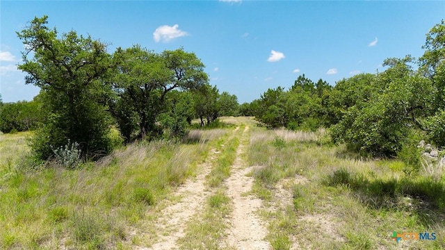670 Windmill Ridge Dr, Blanco, TX 78606 - photo 11
