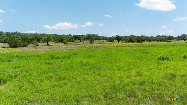670 Windmill Ridge Dr, Blanco, TX 78606 - photo 8