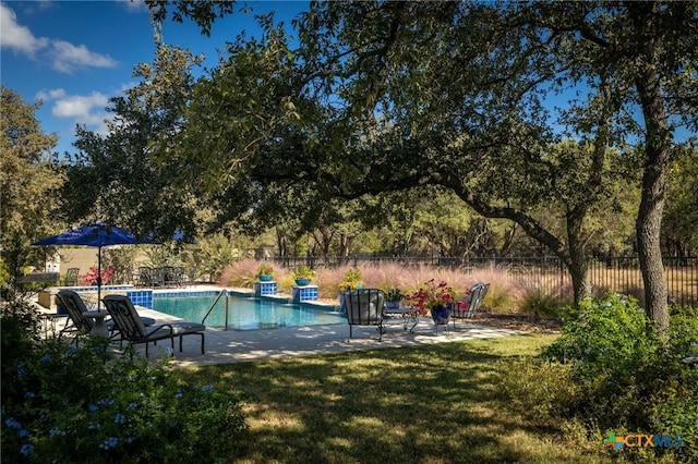 2319 Geneseo Oaks, New Braunfels, TX 78132 - view of swimming pool with a fenced in pool, a patio, a yard, and fence