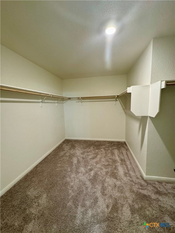 walk in closet with carpet