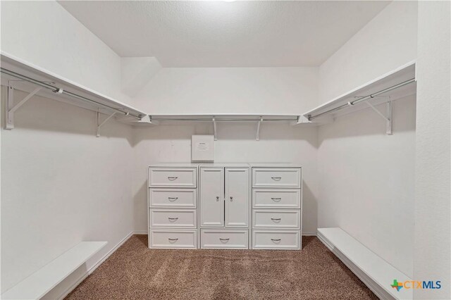 111 Sheep Trail Dr, Kyle, TX 78640 - spacious closet featuring dark colored carpet