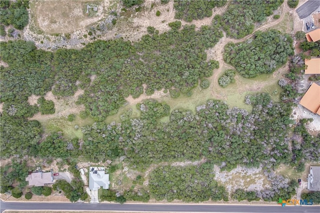 1344 Bellewood Ln, Canyon Lake, TX 78133 - photo 8