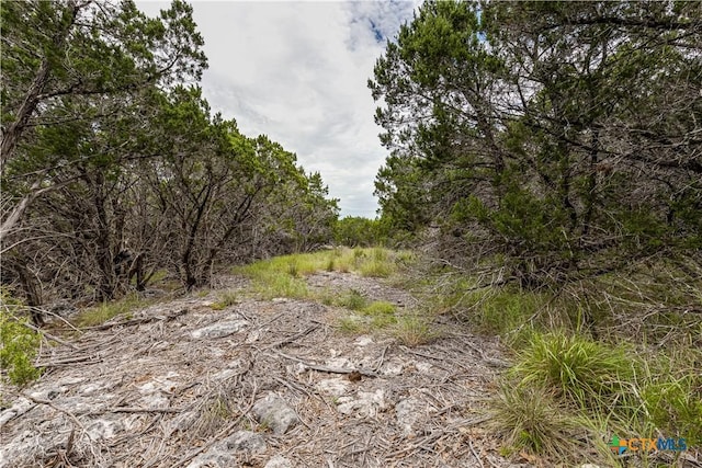 1344 Bellewood Ln, Canyon Lake, TX 78133 - photo 7
