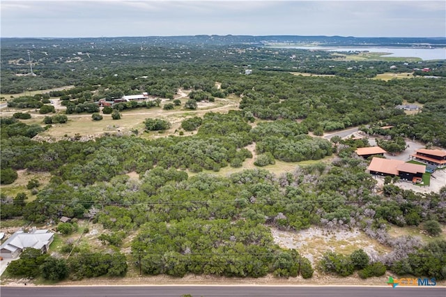 1344 Bellewood Ln, Canyon Lake, TX 78133 - photo 16