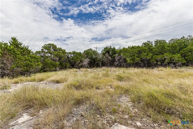 1344 Bellewood Ln, Canyon Lake, TX 78133 - photo 5