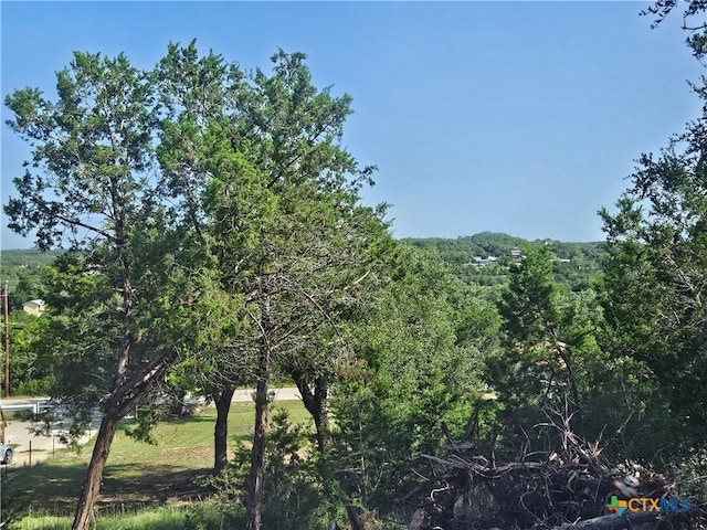1645 Pecan Cir, Canyon Lake, TX 78133 - view of mountain backdrop