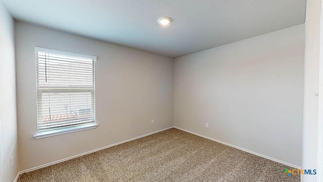 spare room featuring carpet and a wealth of natural light