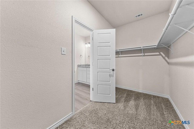 walk in closet with carpet flooring