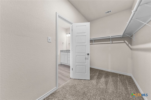 walk in closet with carpet floors