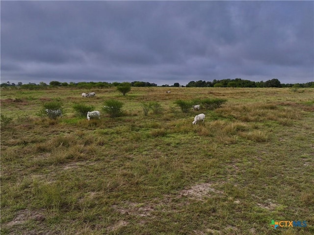 000 Fm 237, Yorktown, TX 78164 - photo 11