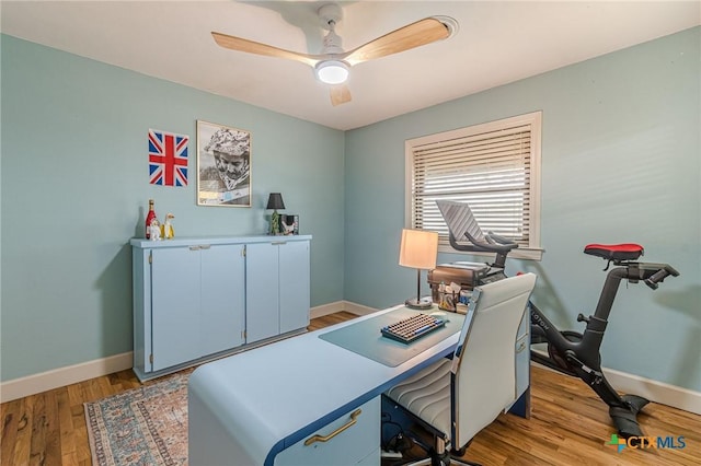 office featuring ceiling fan and light hardwood / wood-style floors