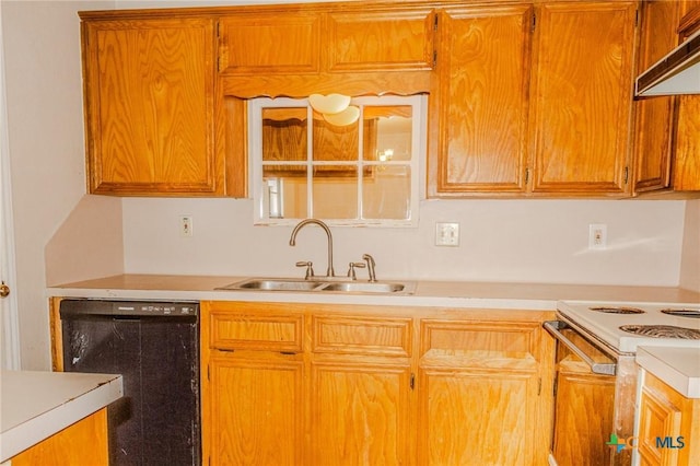 kitchen with electric stove, sink, exhaust hood, and dishwasher